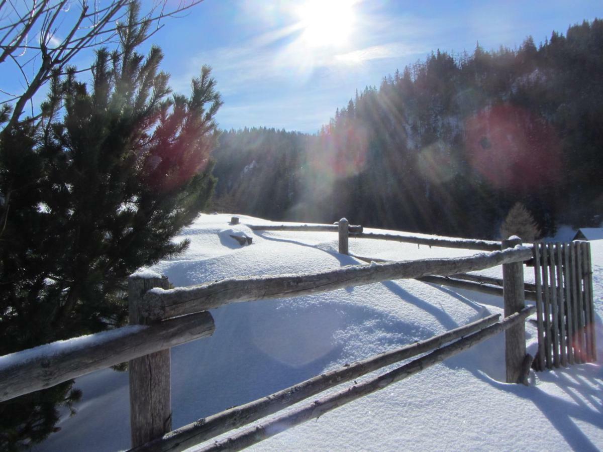 Almgasthaus Seebergalm Turnau Dış mekan fotoğraf