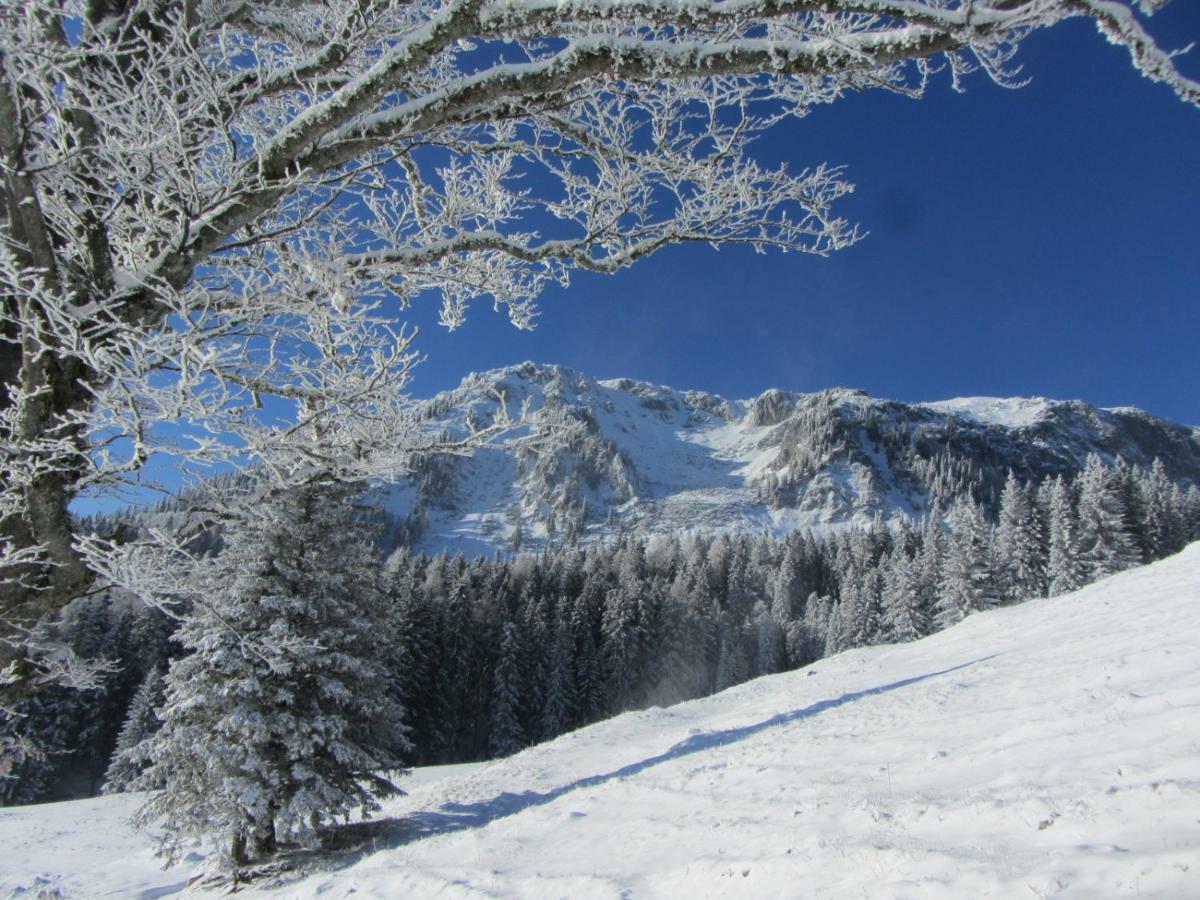 Almgasthaus Seebergalm Turnau Dış mekan fotoğraf