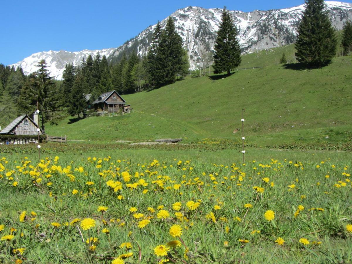 Almgasthaus Seebergalm Turnau Dış mekan fotoğraf
