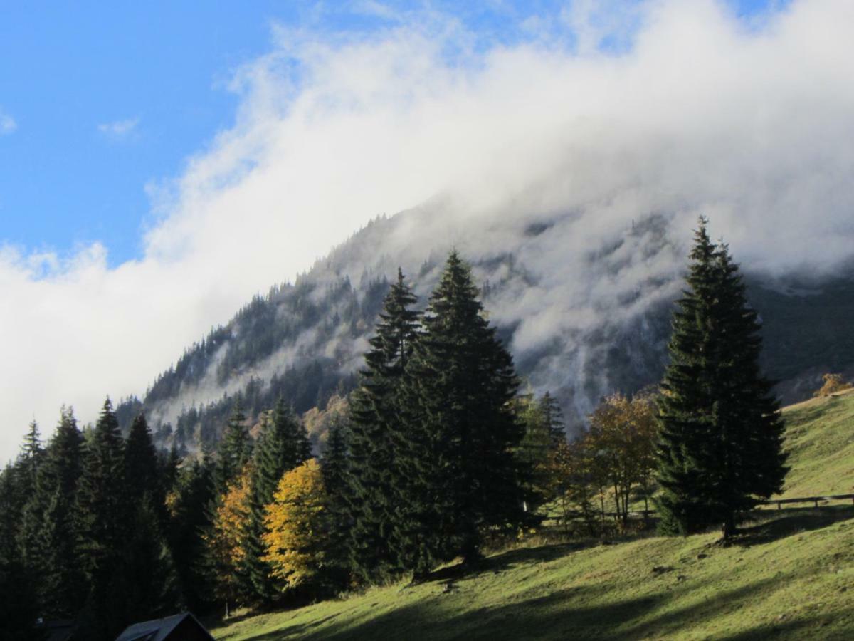 Almgasthaus Seebergalm Turnau Dış mekan fotoğraf