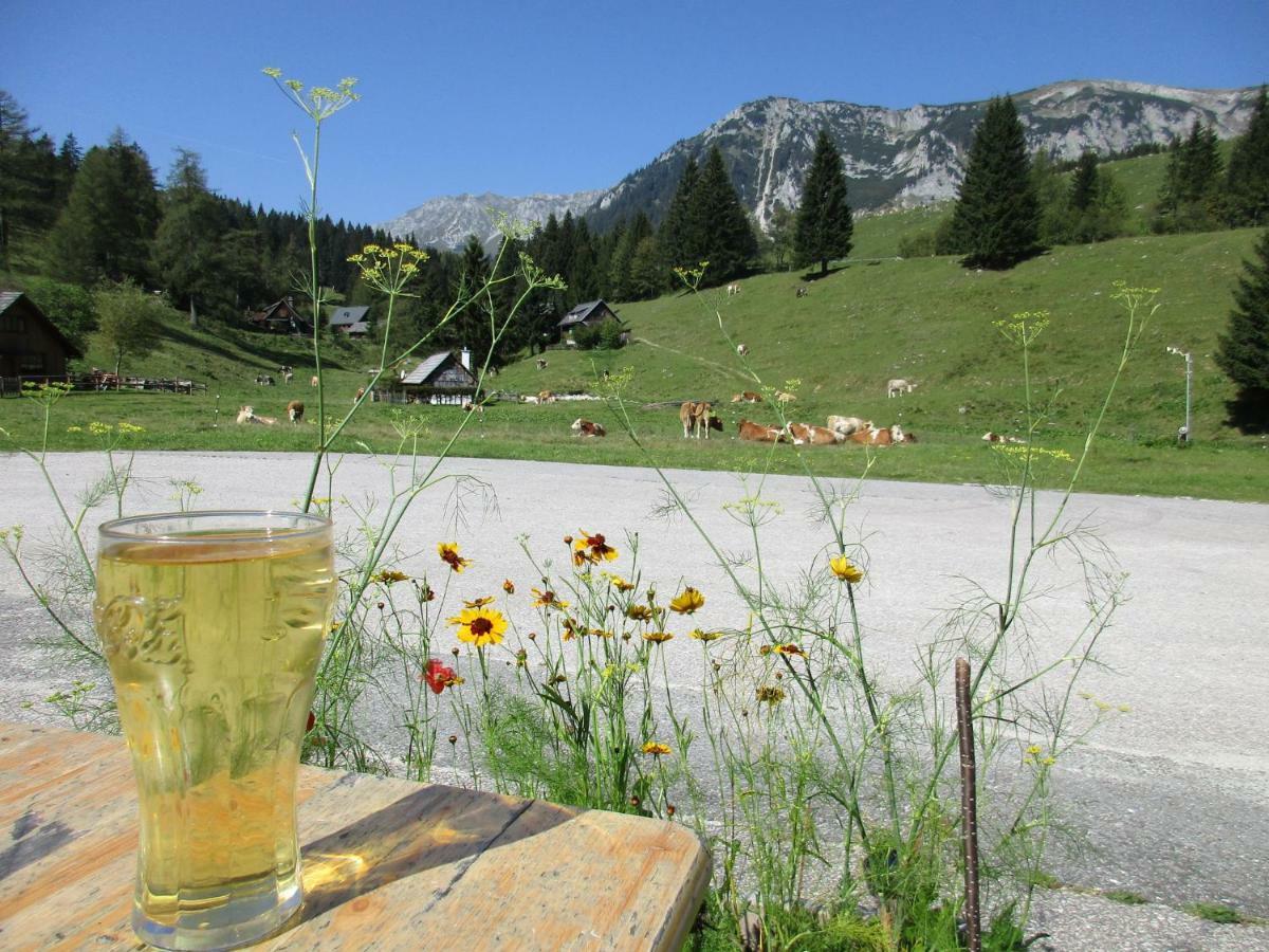 Almgasthaus Seebergalm Turnau Dış mekan fotoğraf